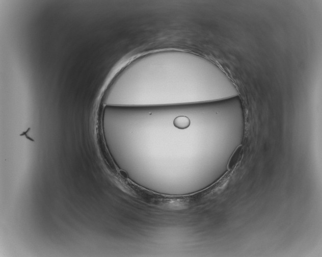 X0000112830056200909041511