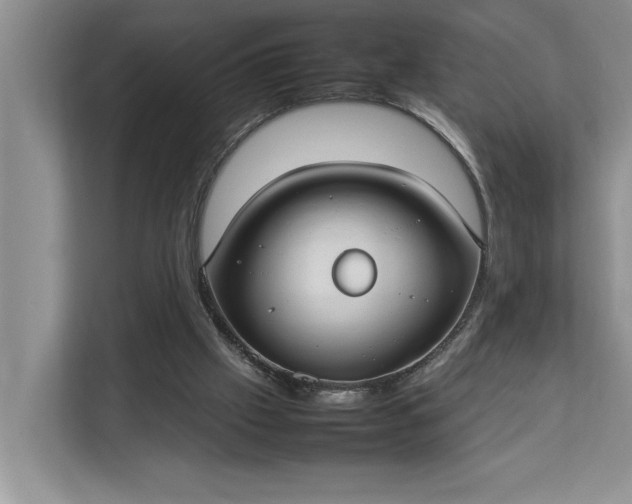 X0000112830057200909041511