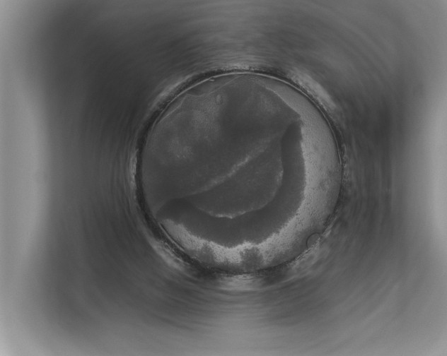 X0000112830058200909041511