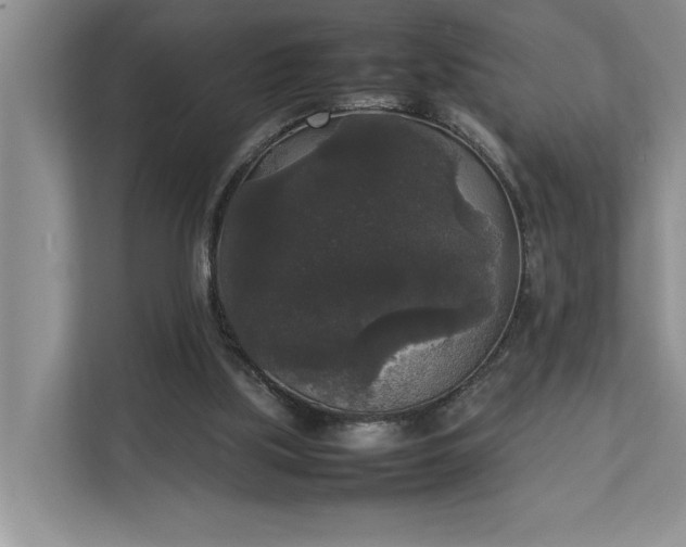 X0000112830059200909041511