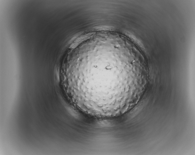 X0000112830062200909041511