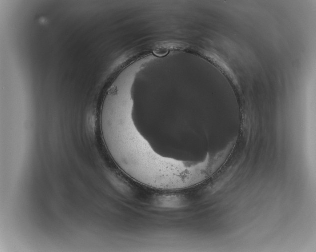 X0000112830063200909041511