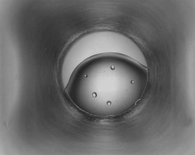 X0000112830064200909041511