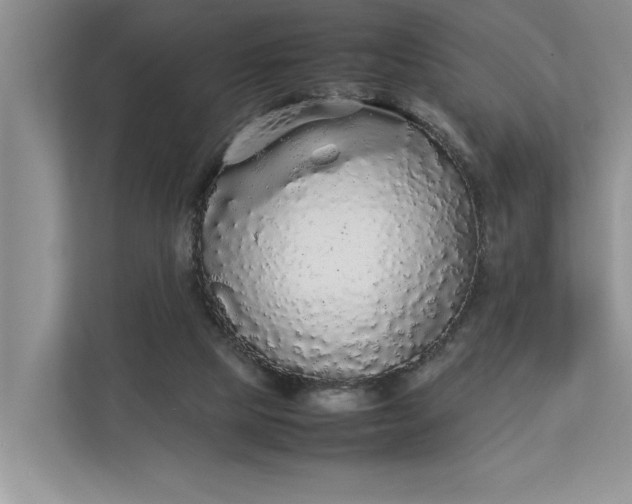 X0000112830065200909041511