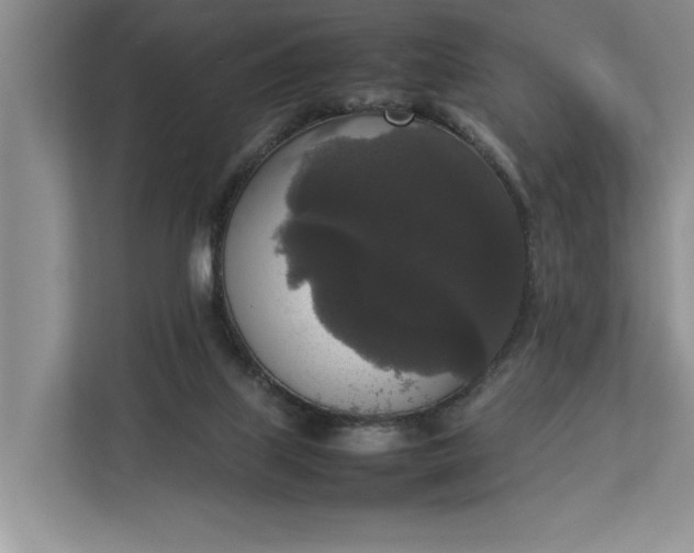 X0000112830067200909041511