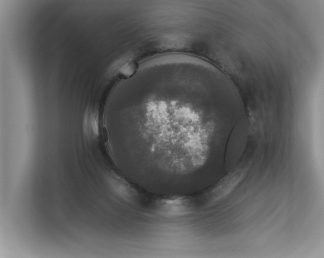 X0000112830068200909041511