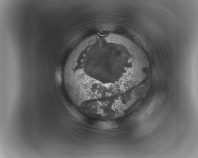 X0000112830069200909041511