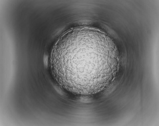 X0000112830070200909041511