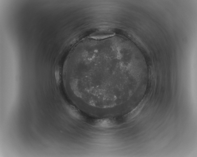 X0000112830074200909041511