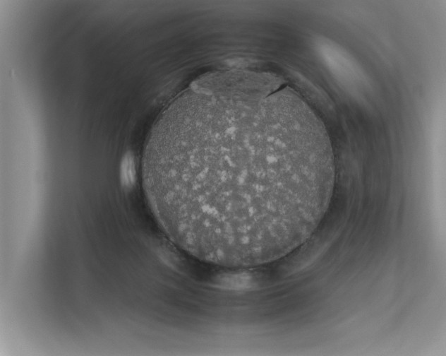 X0000112830075200909041511