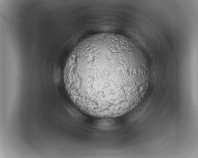 X0000112830077200909041511