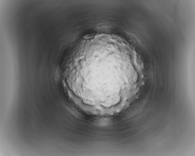 X0000112830081200909041511