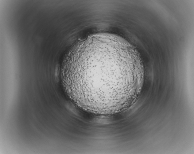 X0000112830082200909041511