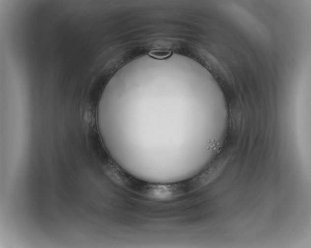 X0000112830091200909041511