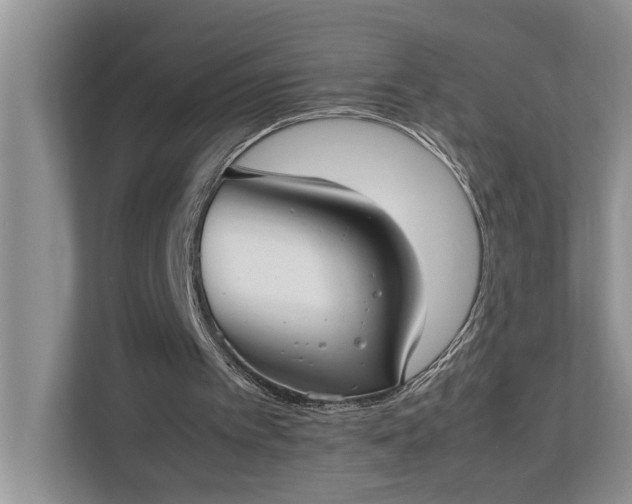 X0000112830097200909041511