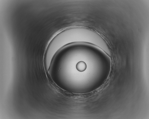 X0000112830100200909041510