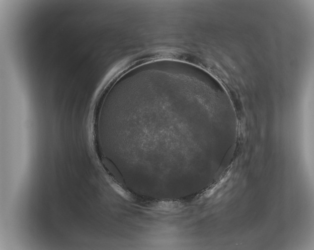 X0000112830101200909041510