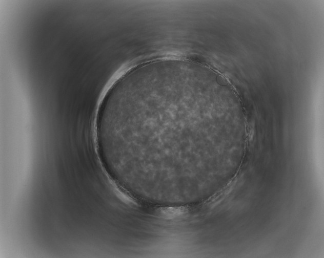 X0000112830102200909041510