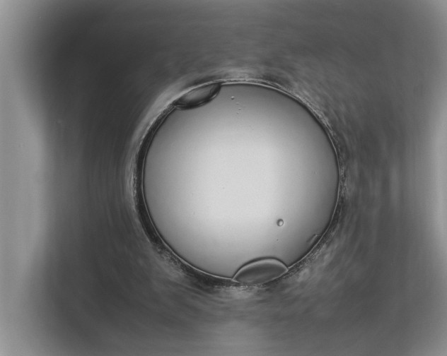 X0000112830103200909041510