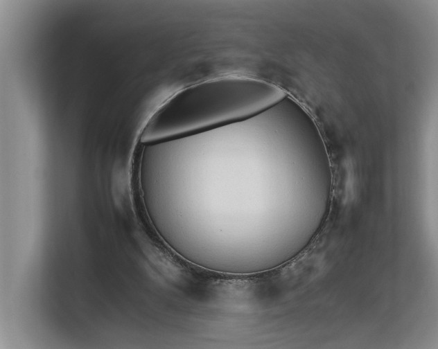 X0000112830104200909041510