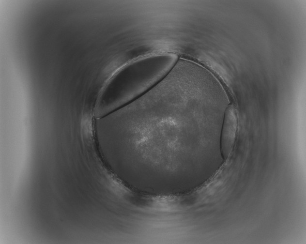 X0000112830105200909041510