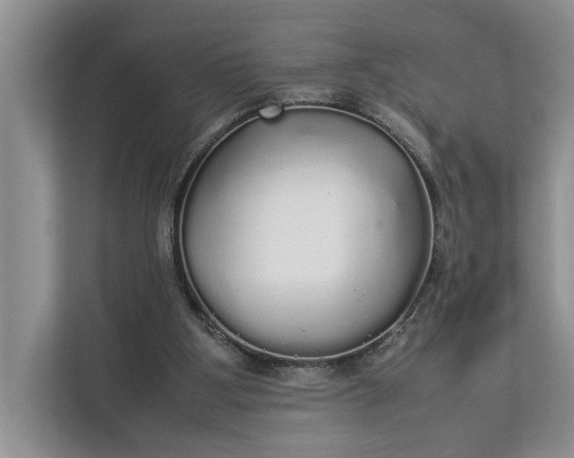 X0000112830107200909041510