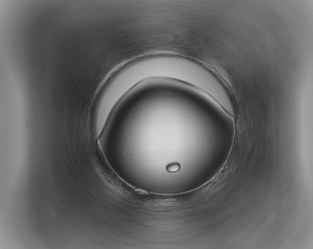 X0000112830108200909041510