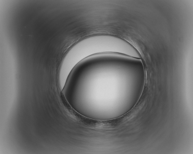 X0000112830109200909041510