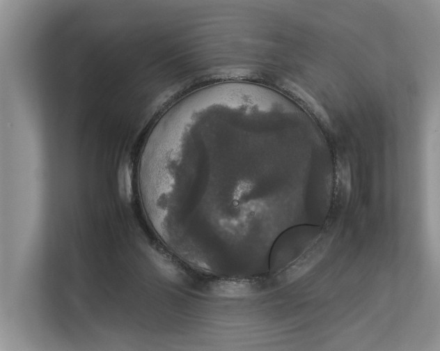 X0000112830110200909041510