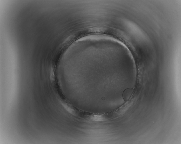 X0000112830114200909041510