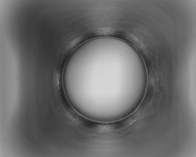 X0000112830115200909041510