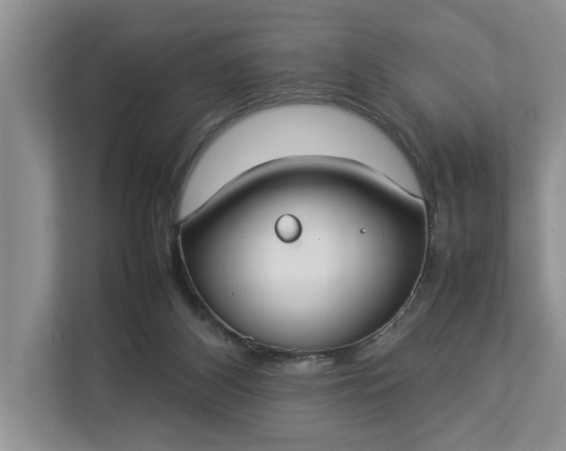 X0000112830116200909041510