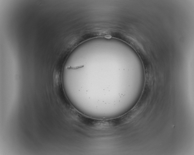 X0000112830123200909041510