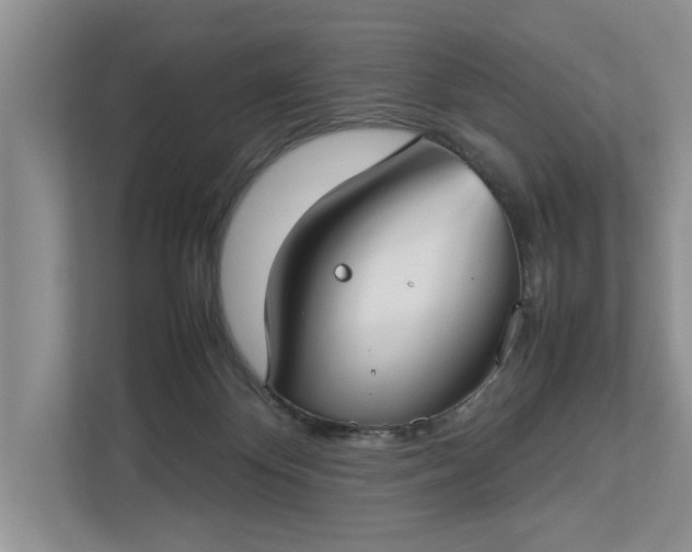 X0000112830124200909041510