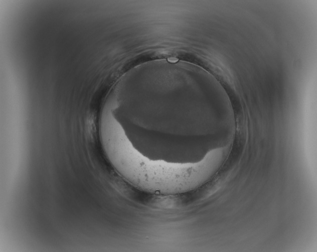 X0000112830127200909041510