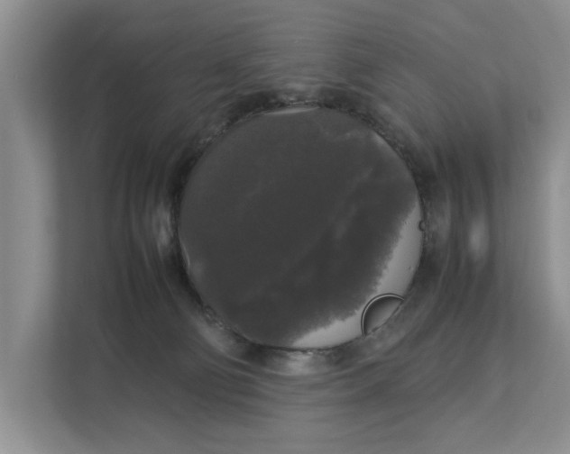 X0000112830130200909041510