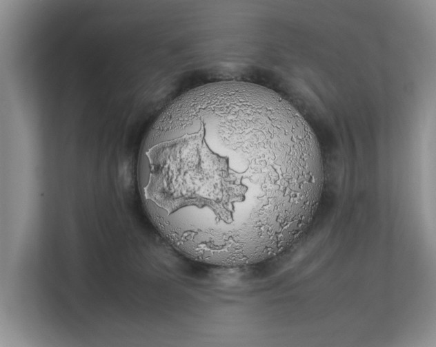 X0000112830131200909041510