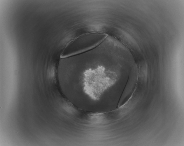 X0000112830132200909041510