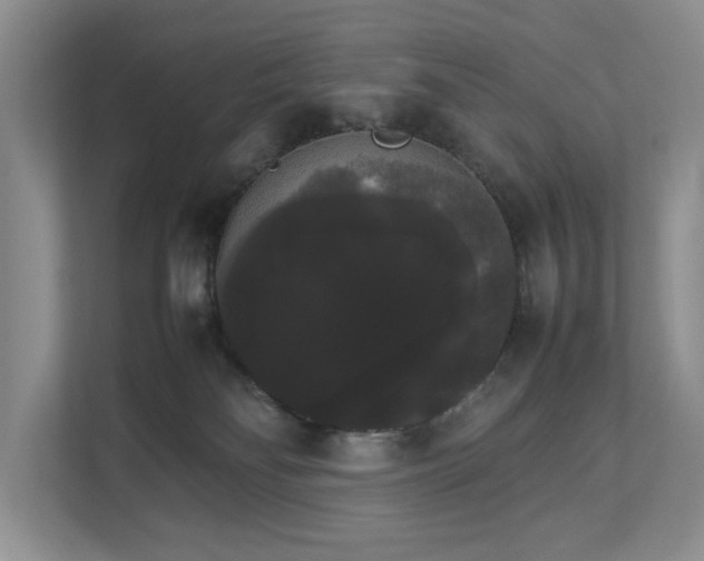 X0000112830134200909041510