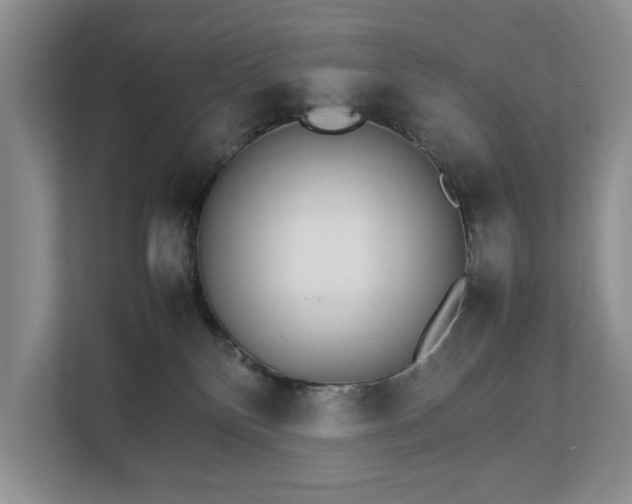 X0000112830136200909041510