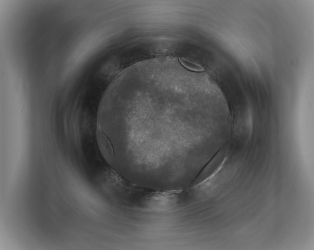 X0000112830140200909041510