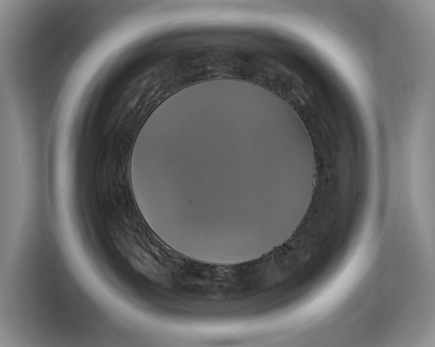 X0000112830143200909041510