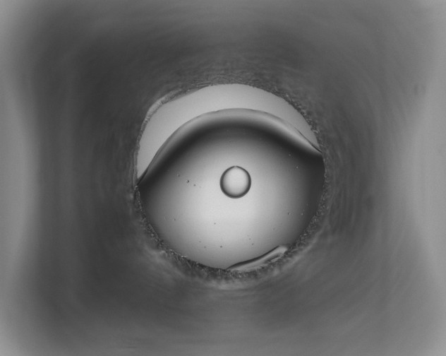 X0000112830144200909041510