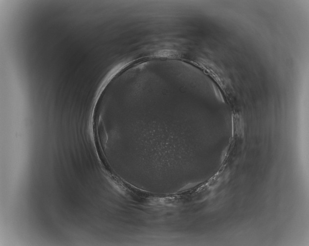 X0000112830147200909041509