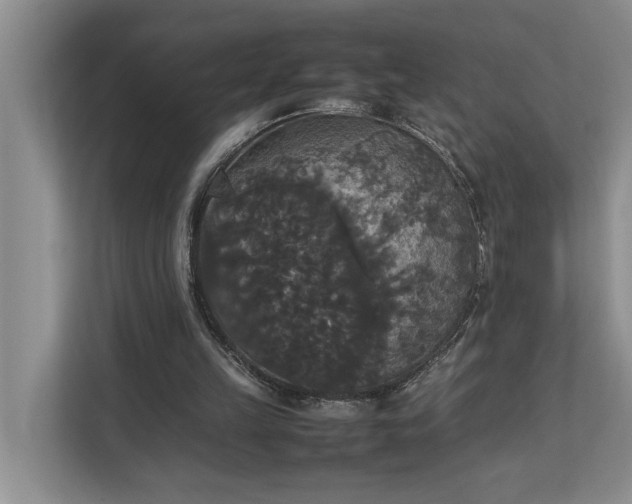 X0000112830149200909041509