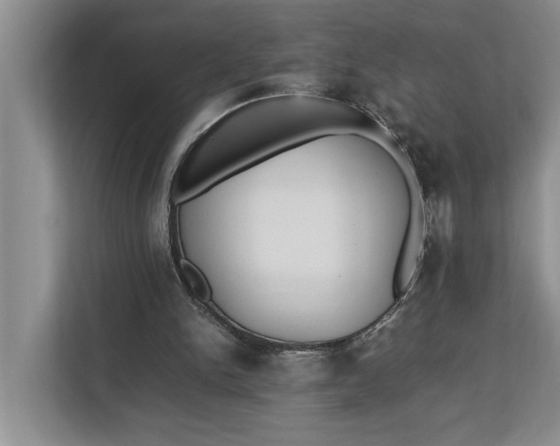 X0000112830150200909041509