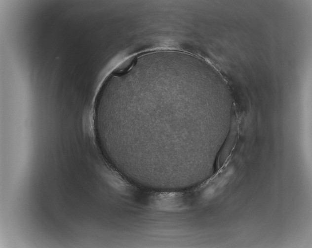 X0000112830152200909041509