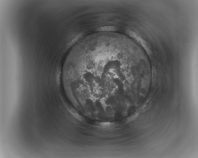 X0000112830153200909041509