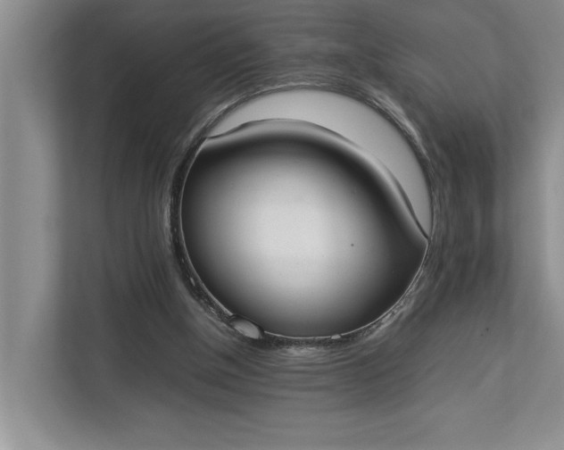 X0000112830154200909041509