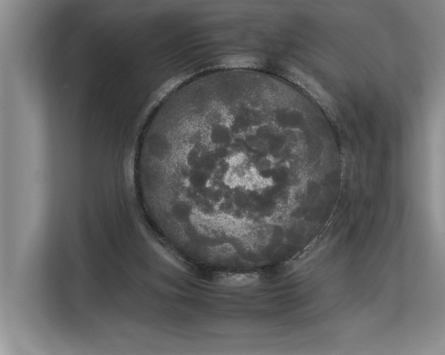 X0000112830155200909041509